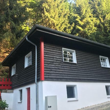 Villa Blockhaus im Kuckuckswinkel Schöna Exterior foto